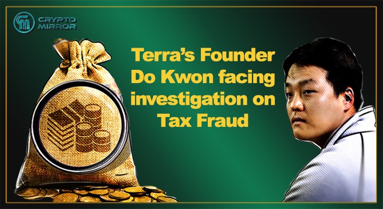 investigation on Tax Fraud