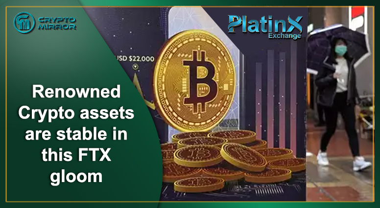 Renowned Crypto assets are stable in this FTX gloom