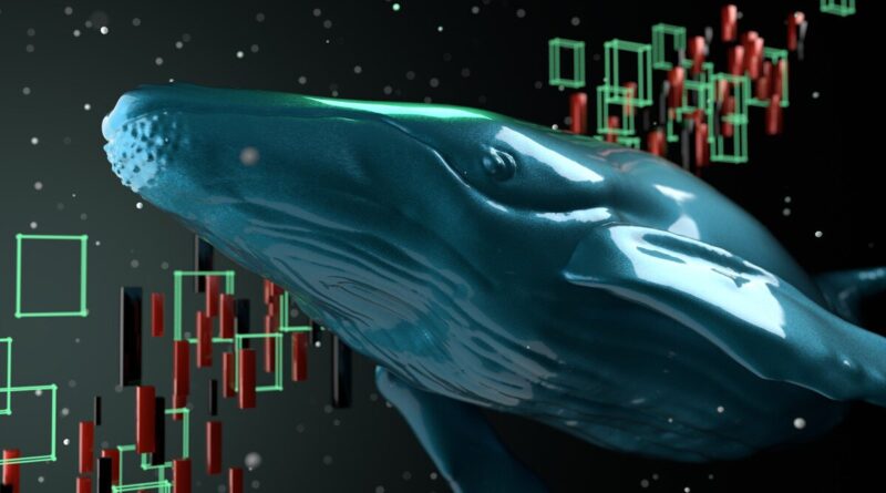 Crypto Whales Just Added These Coins to Their Portfolios – Find Out Why