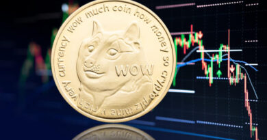 Is Elon Musk's Pick for New Twitter CEO a Dogecoin Maxi Too?