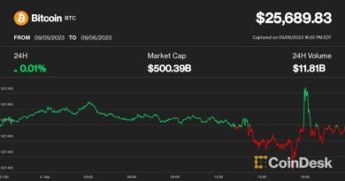 Bitcoin Little-Changed at $25.7K After Newsy and Volatile Session on 7th September